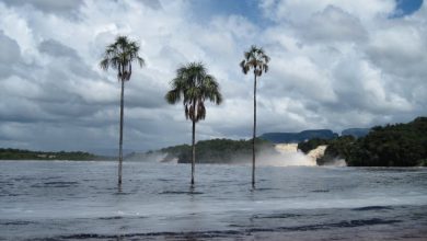 canaima-salto-angel3