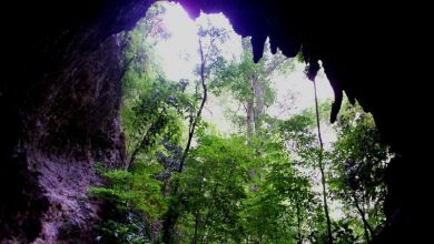 cueva-quebrada-del-toro