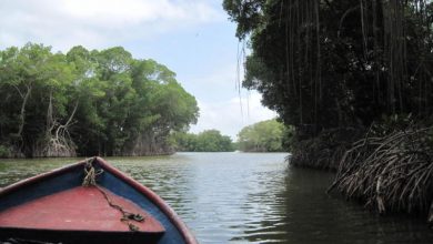 laguna-tacarigua