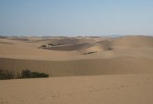 medanos-de-coro