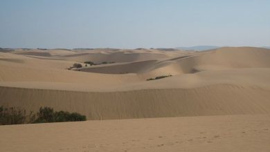 medanos-de-coro