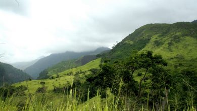 sierra de perija