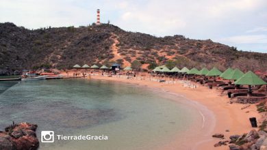 playa el faro