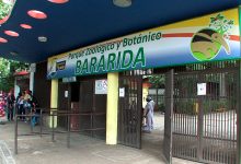 Bararida